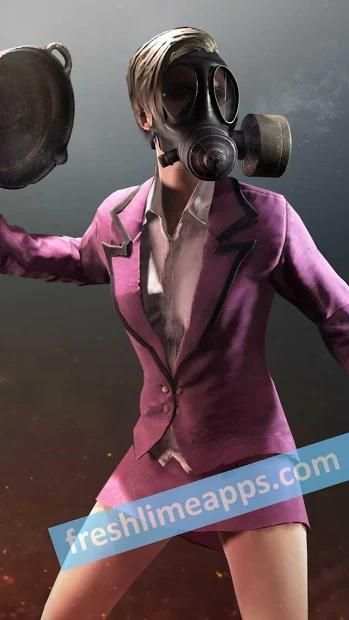 PUBG HD Wallpapers screenshot 8
