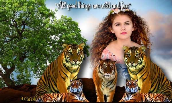 Wild Animal Photo Frame स्क्रीनशॉट 3
