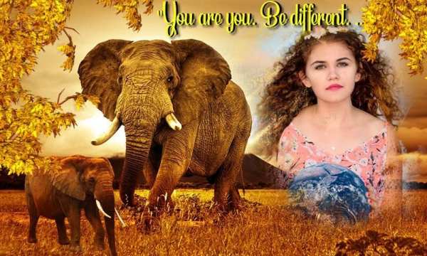 Wild Animal Photo Frame स्क्रीनशॉट 1
