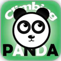 Climbing Panda