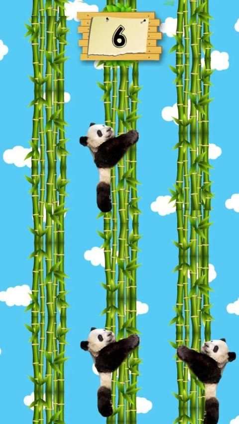 Climbing Panda screenshot 1