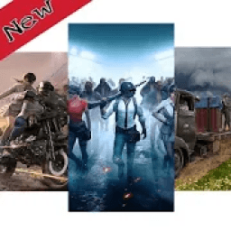 Wallpaper PUBG 4K : Auto Change Wallpaper आइकन
