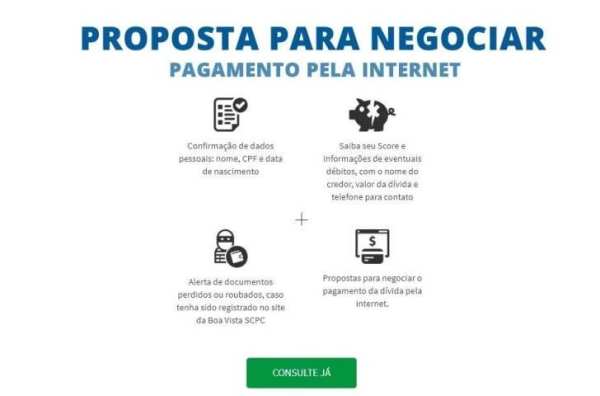 Consultar Dívidas CPF, Score e Situação Cadastral screenshot 2