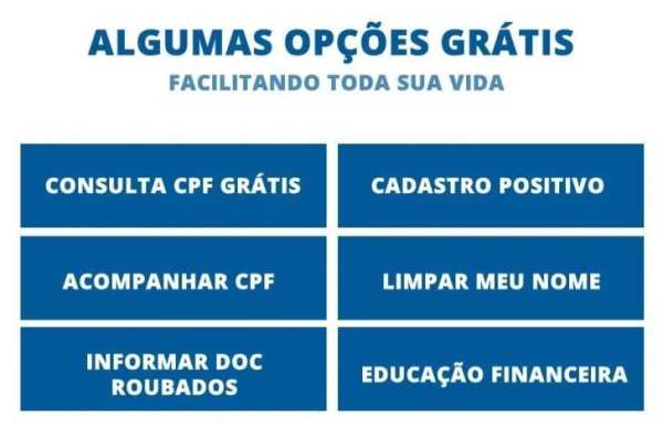 Consultar Dívidas CPF, Score e Situação Cadastral screenshot 1