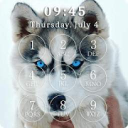 Cute Husky Puppies Lock Screen & Wallpapers