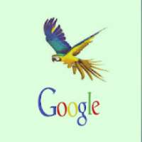 Googel Bird Browser