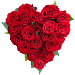 ikon Roses Stickers For WhatsApp