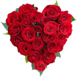 Roses Stickers For WhatsApp 1.0
