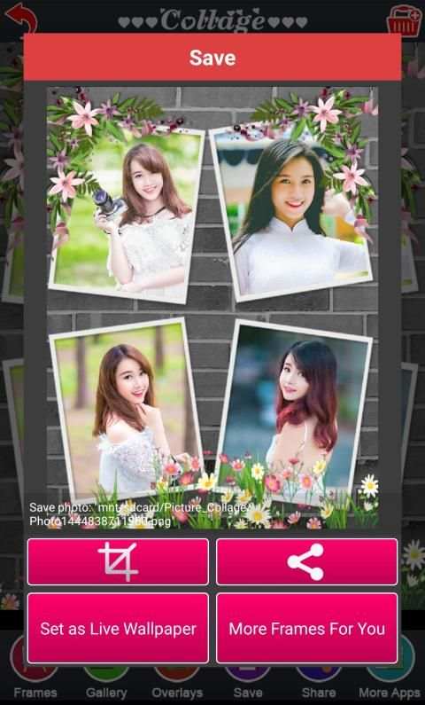 Collage screenshot 1