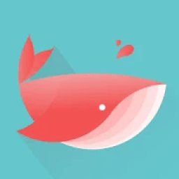 ikon WhatsNew-Latest News,Live Cricket Score Trending