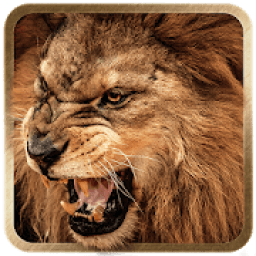 3D Lion live wallpaper आइकन
