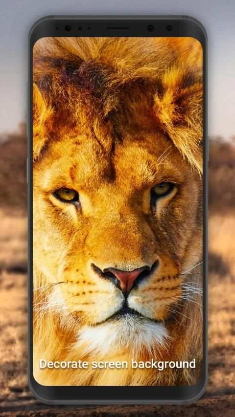 3D Lion live wallpaper स्क्रीनशॉट 4