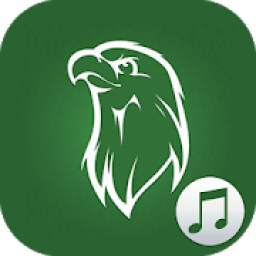 Music Raja 2019 1.1