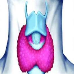 بیماری تیروئید و درمان آن
‎