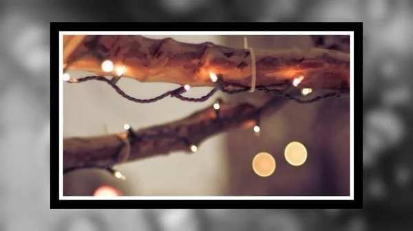CB Edit Bokeh Background in Full [High Definition] screenshot 2