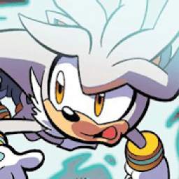 HD Wallpapers for Silver Hedgehog Lovers 1.0