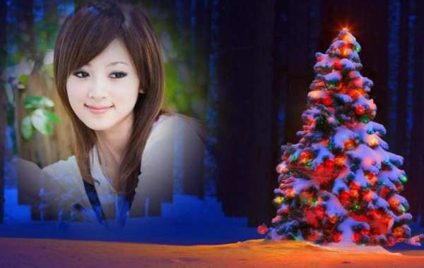 Christmas Photo Frames स्क्रीनशॉट 3