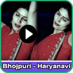 Bhojpuri Haryanavi Dance Video