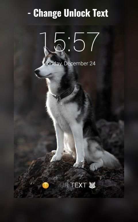 Siberian Husky Lock Screen स्क्रीनशॉट 8
