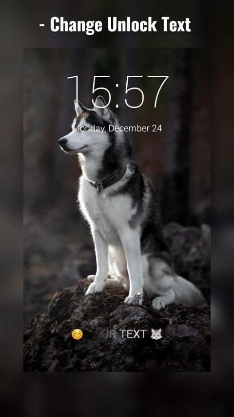 Siberian Husky Lock Screen स्क्रीनशॉट 16