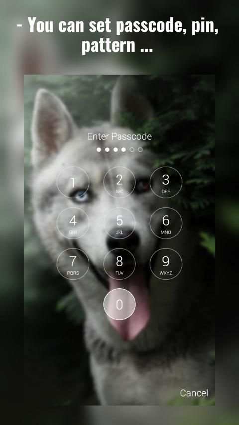 Siberian Husky Lock Screen स्क्रीनशॉट 18