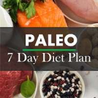 Paleo Diet Plan on 9Apps