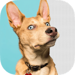 ikon Photo Cut Studio X