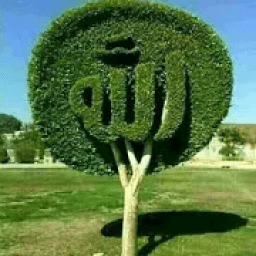 ikon Kaligrafi Wallpaper