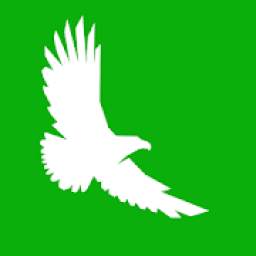 Кутлер 1.7
