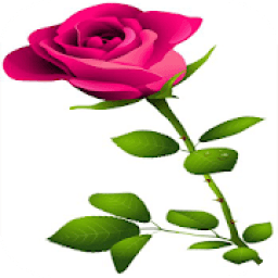 ikon WAStickerApps - Flowers stickers