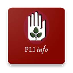 pli info 3.4
