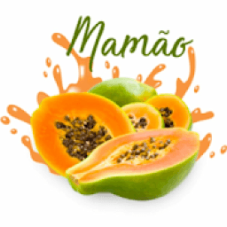 Como Plantar Mamão icon