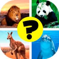 Animals: quiz. Mammals, Birds and Fish logo