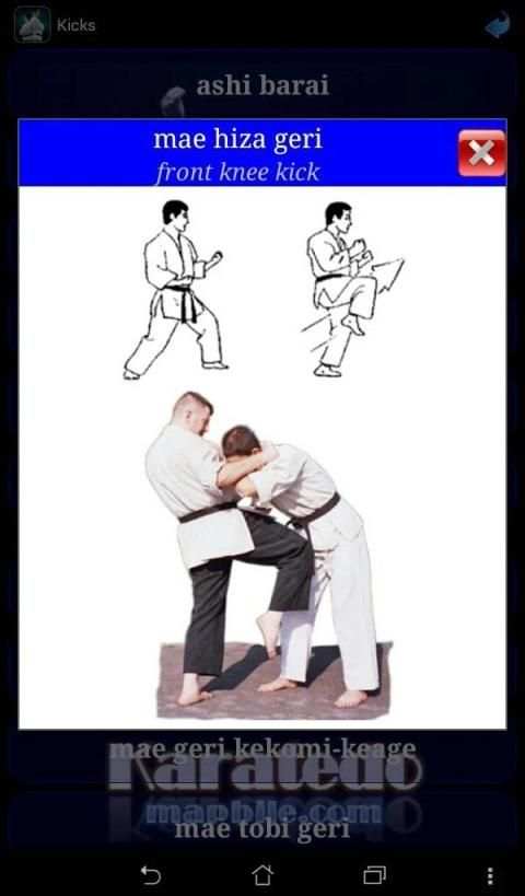 Karate WKF स्क्रीनशॉट 12
