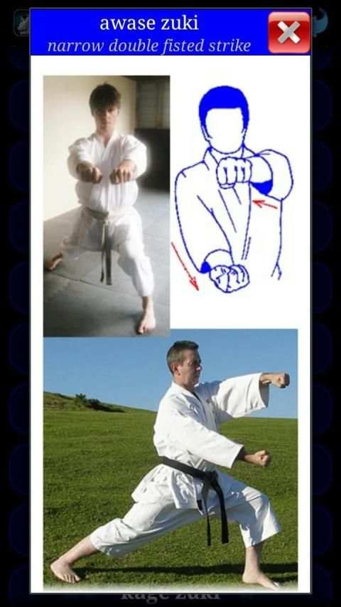 Karate WKF screenshot 20