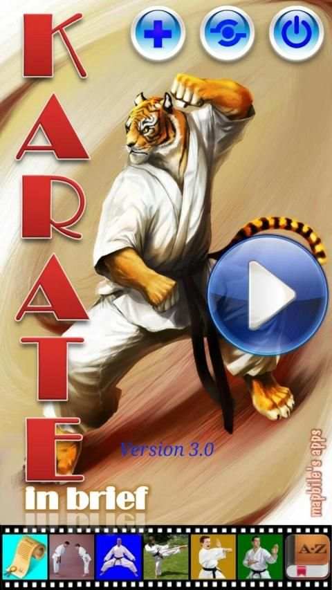 Karate in brief screenshot 24