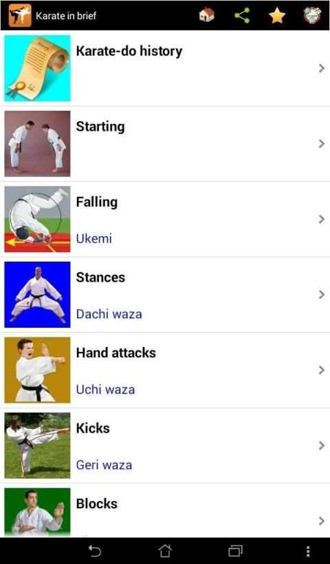 Karate in brief screenshot 7
