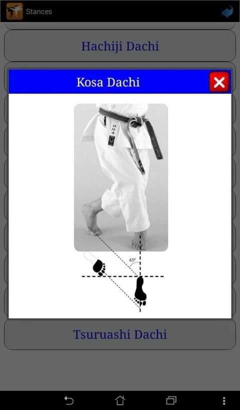 Karate in brief screenshot 2
