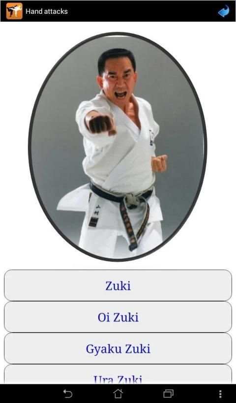 Karate in brief screenshot 1