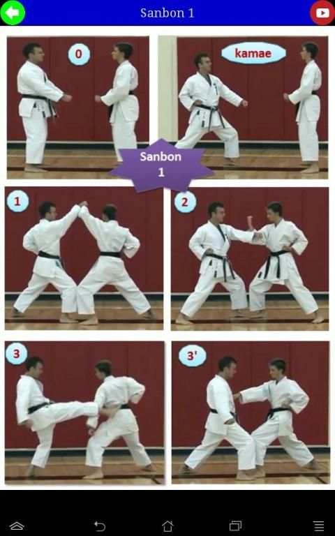 Karate in brief screenshot 11