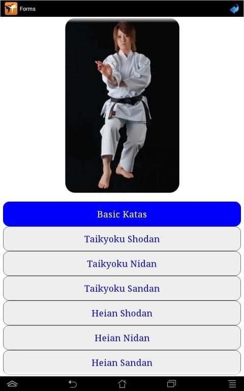 Karate in brief screenshot 10