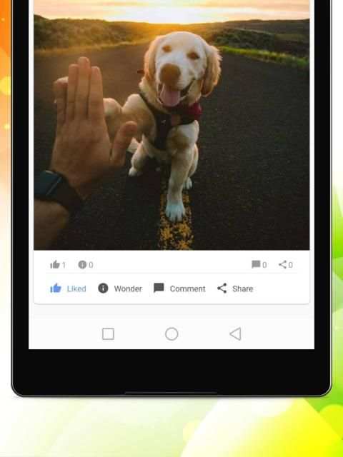 भारत सामाजिक - वीडियो, स्थिति और कॉल screenshot 11