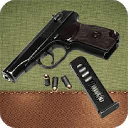 The Makarov pistol