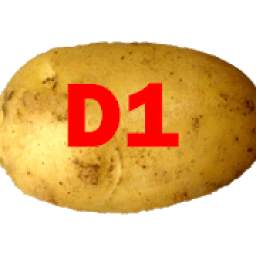 Marek sází brambory na D1