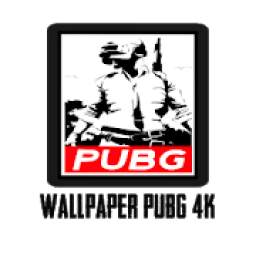 Wallpaper PUBG 4K 1.0