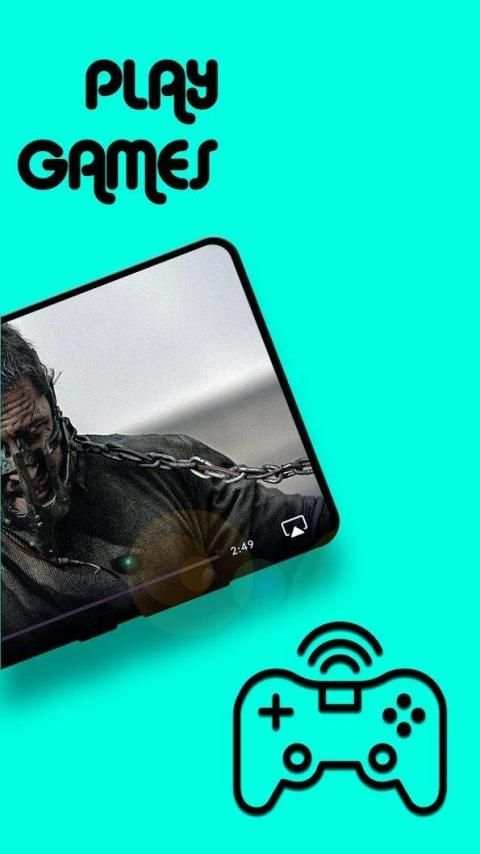Flash Player screenshot 2