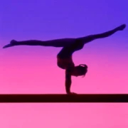 ikon Gymnastics training