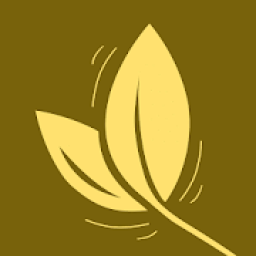 Air Quality: Monitor AQI आइकन