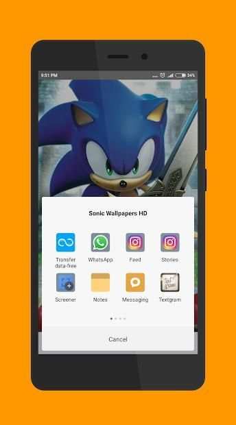 Wallpapers for Sonic Hedgehog Lovers HD screenshot 1