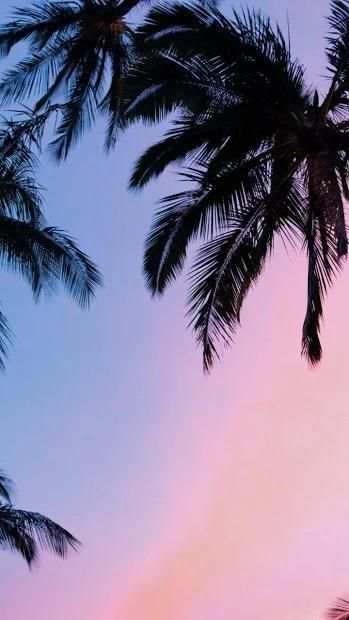 4K Ultra HD Wallpapers | Auto Change Wallpaper screenshot 3